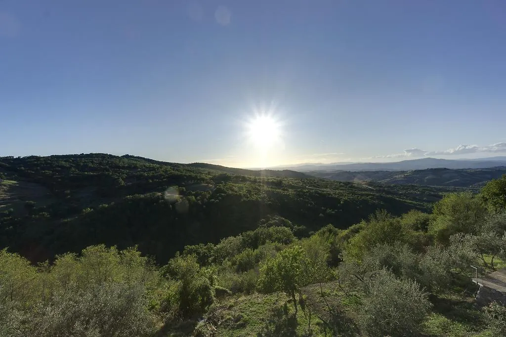 The View A Pop Style Apartment In Maremma, Cana